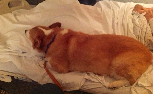 Dylan on mom's bed